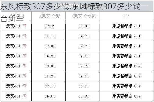 东风标致307多少钱,东风标致307多少钱一台新车