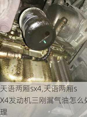 天语两厢sx4,天语两厢sX4发动机三刚漏气油怎么处理