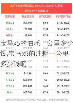 宝马x5的油耗一公里多少钱,宝马x5的油耗一公里多少钱啊