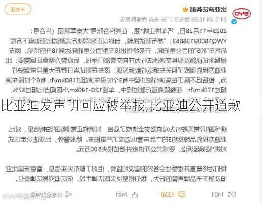 比亚迪发声明回应被举报,比亚迪公开道歉