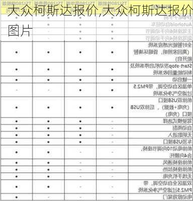 大众柯斯达报价,大众柯斯达报价图片