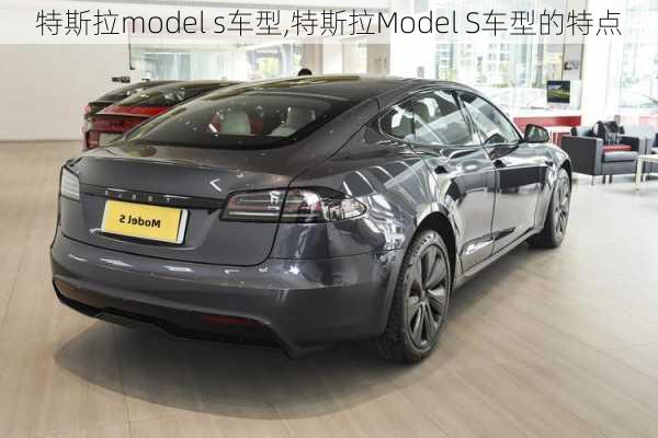 特斯拉model s车型,特斯拉Model S车型的特点