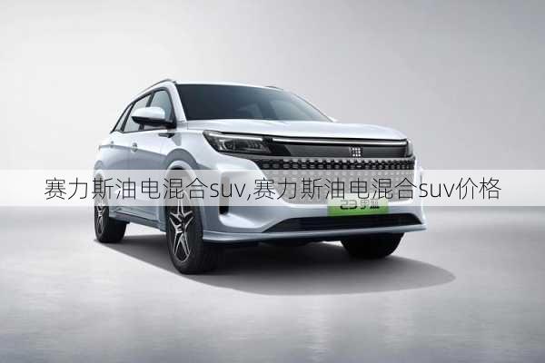 赛力斯油电混合suv,赛力斯油电混合suv价格