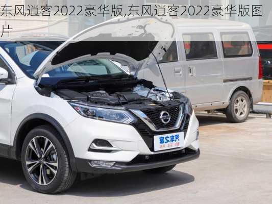 东风逍客2022豪华版,东风逍客2022豪华版图片