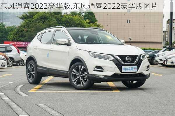 东风逍客2022豪华版,东风逍客2022豪华版图片