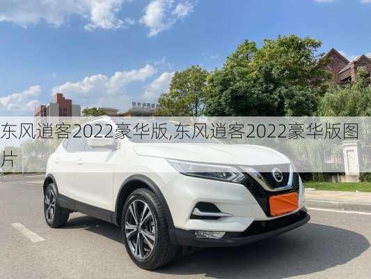 东风逍客2022豪华版,东风逍客2022豪华版图片