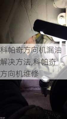 科帕奇方向机漏油解决方法,科帕奇方向机维修