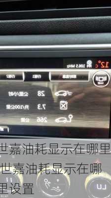 世嘉油耗显示在哪里,世嘉油耗显示在哪里设置
