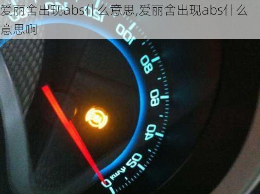 爱丽舍出现abs什么意思,爱丽舍出现abs什么意思啊