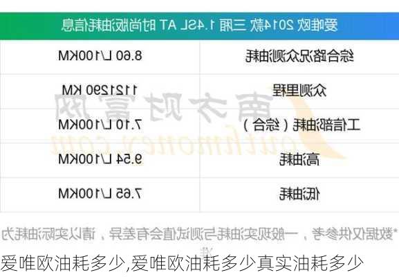 爱唯欧油耗多少,爱唯欧油耗多少真实油耗多少