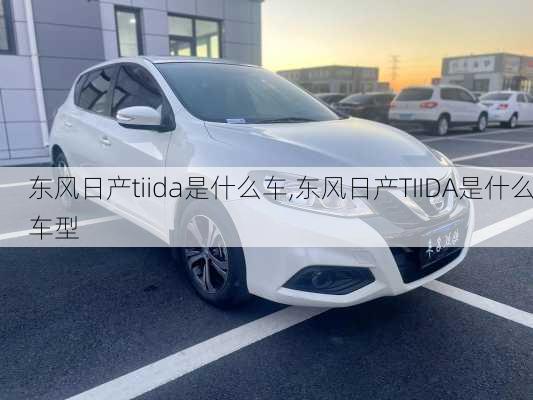 东风日产tiida是什么车,东风日产TIIDA是什么车型