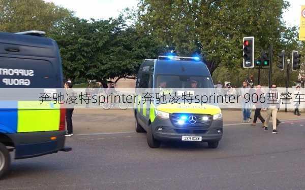 奔驰凌特sprinter,奔驰凌特sprinter 906型警车