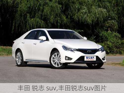 丰田 锐志 suv,丰田锐志suv图片