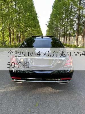 奔驰suvs450,奔驰suvs450价格