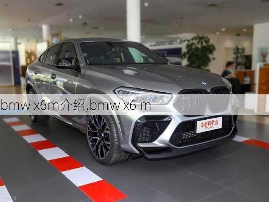 bmw x6m介绍,bmw x6 m