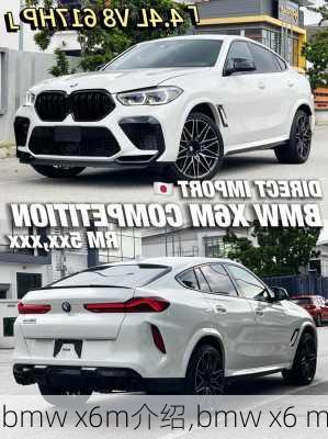 bmw x6m介绍,bmw x6 m