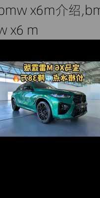 bmw x6m介绍,bmw x6 m