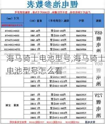 海马骑士电池型号,海马骑士电池型号怎么看