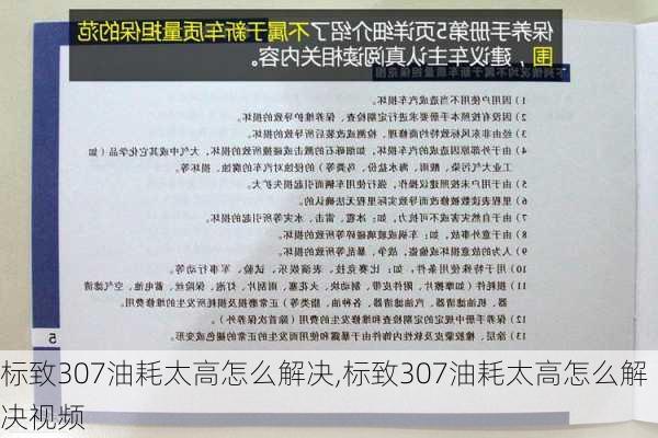 标致307油耗太高怎么解决,标致307油耗太高怎么解决视频