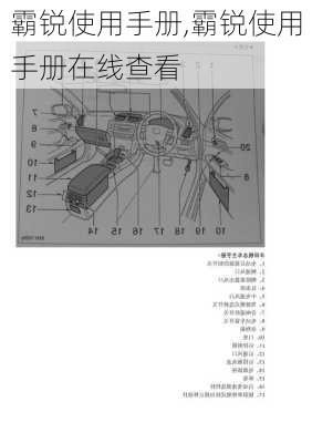 霸锐使用手册,霸锐使用手册在线查看