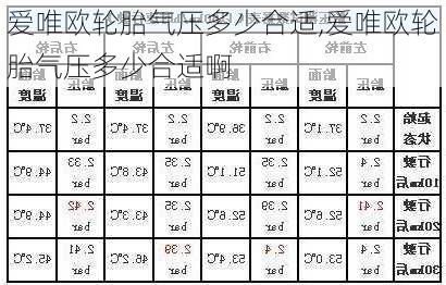 爱唯欧轮胎气压多少合适,爱唯欧轮胎气压多少合适啊