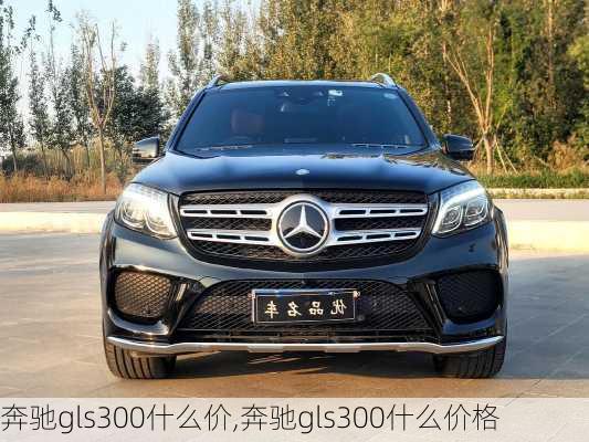 奔驰gls300什么价,奔驰gls300什么价格