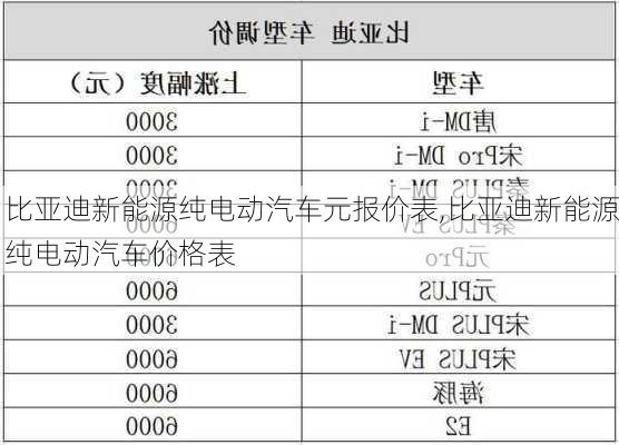 比亚迪新能源纯电动汽车元报价表,比亚迪新能源纯电动汽车价格表