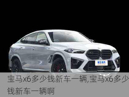 宝马x6多少钱新车一辆,宝马x6多少钱新车一辆啊