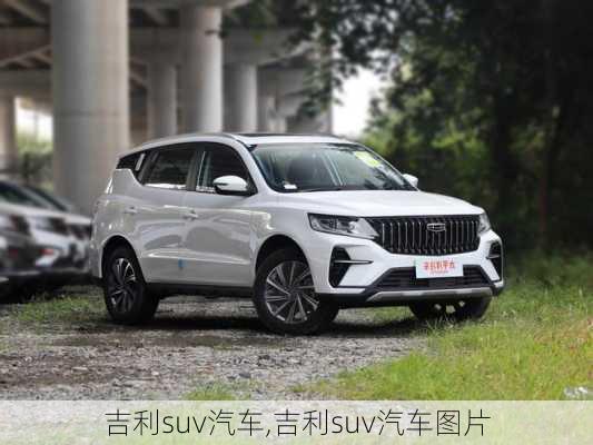 吉利suv汽车,吉利suv汽车图片