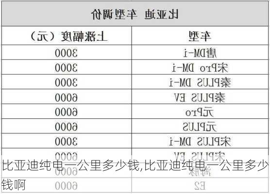 比亚迪纯电一公里多少钱,比亚迪纯电一公里多少钱啊