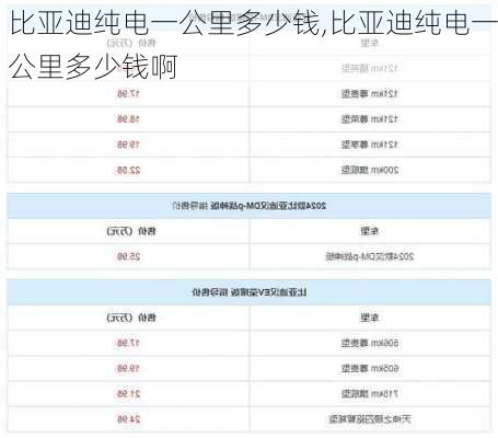 比亚迪纯电一公里多少钱,比亚迪纯电一公里多少钱啊
