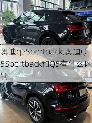 奥迪q5Sportback,奥迪Q5Sportback和Q5有什么区别