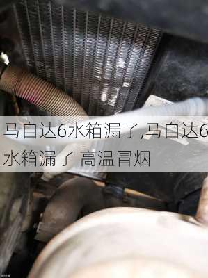 马自达6水箱漏了,马自达6水箱漏了 高温冒烟