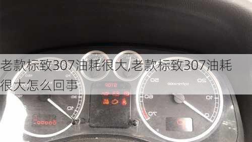 老款标致307油耗很大,老款标致307油耗很大怎么回事