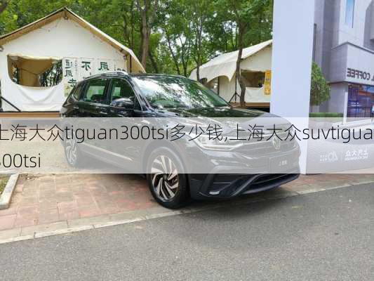 上海大众tiguan300tsi多少钱,上海大众suvtiguan300tsi