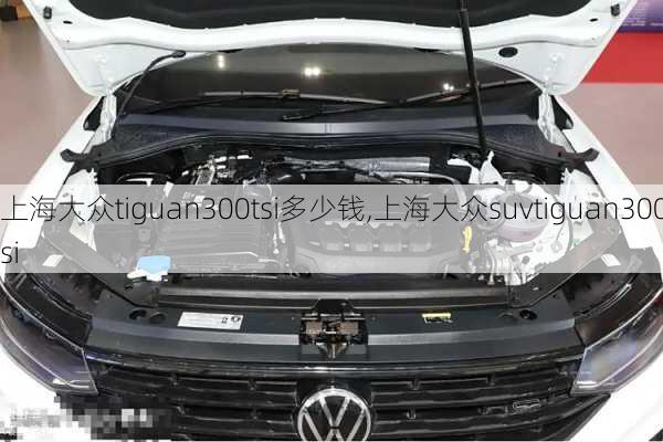 上海大众tiguan300tsi多少钱,上海大众suvtiguan300tsi