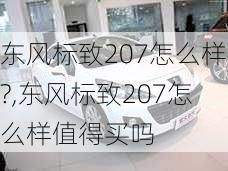 东风标致207怎么样?,东风标致207怎么样值得买吗