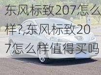 东风标致207怎么样?,东风标致207怎么样值得买吗