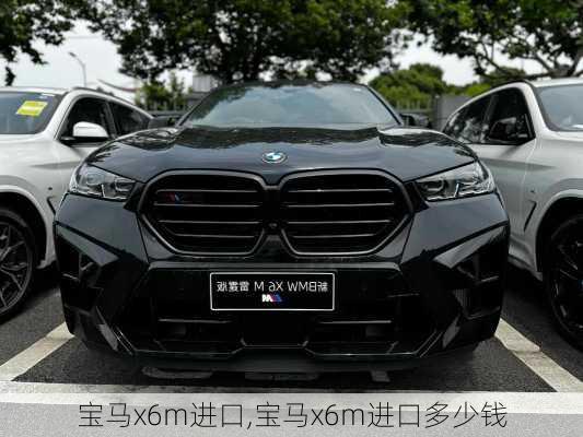 宝马x6m进口,宝马x6m进口多少钱