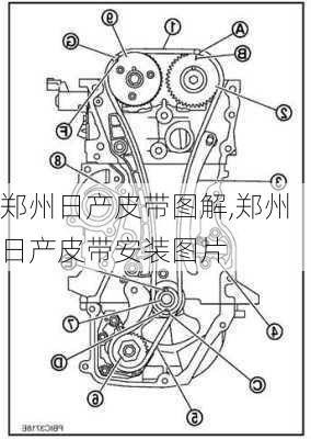 郑州日产皮带图解,郑州日产皮带安装图片