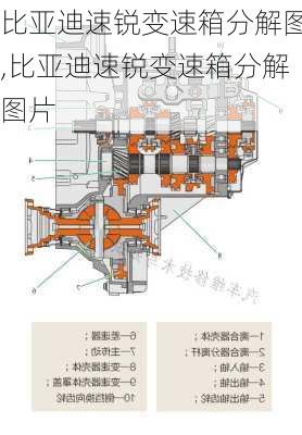 比亚迪速锐变速箱分解图,比亚迪速锐变速箱分解图片