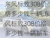 东风标致308价格多少钱一辆,东风标致308价格多少钱一辆新车