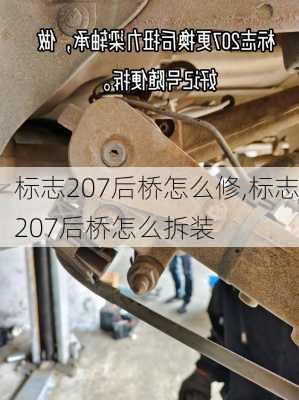 标志207后桥怎么修,标志207后桥怎么拆装