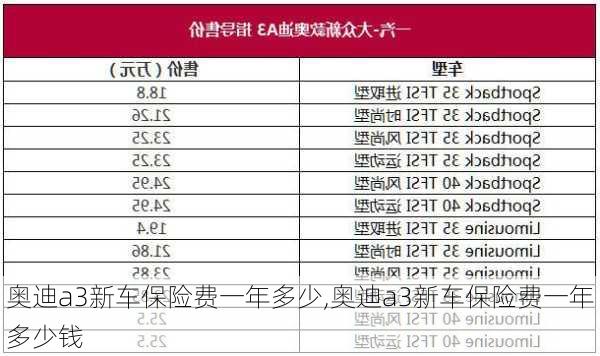 奥迪a3新车保险费一年多少,奥迪a3新车保险费一年多少钱