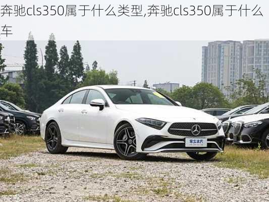 奔驰cls350属于什么类型,奔驰cls350属于什么车