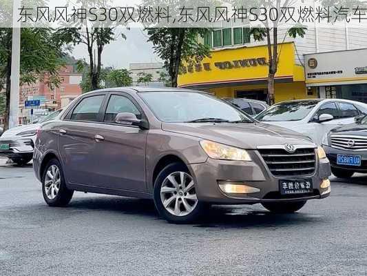 东风风神S30双燃料,东风风神S30双燃料汽车