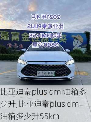 比亚迪秦plus dmi油箱多少升,比亚迪秦plus dmi油箱多少升55km