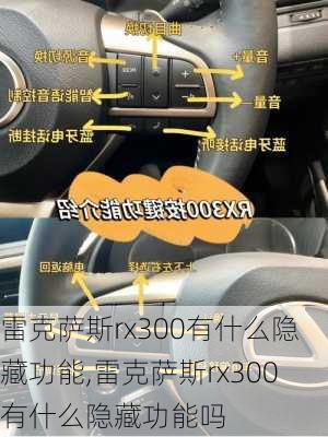 雷克萨斯rx300有什么隐藏功能,雷克萨斯rx300有什么隐藏功能吗