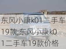 东风小康k01二手车19款,东风小康k01二手车19款价格