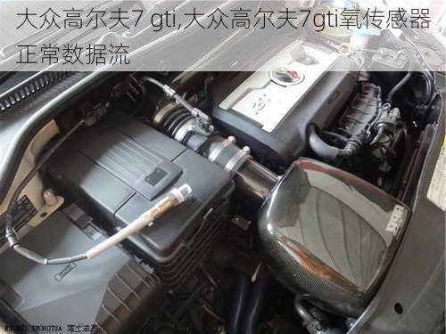 大众高尔夫7 gti,大众高尔夫7gti氧传感器正常数据流